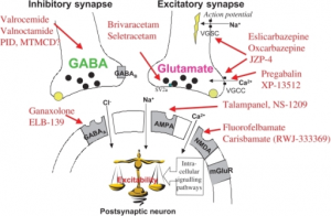 Buy Gabapentin online
